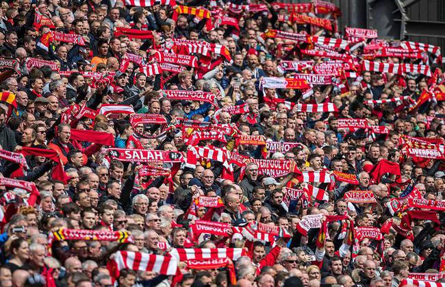 广东东阳光 广东东阳光